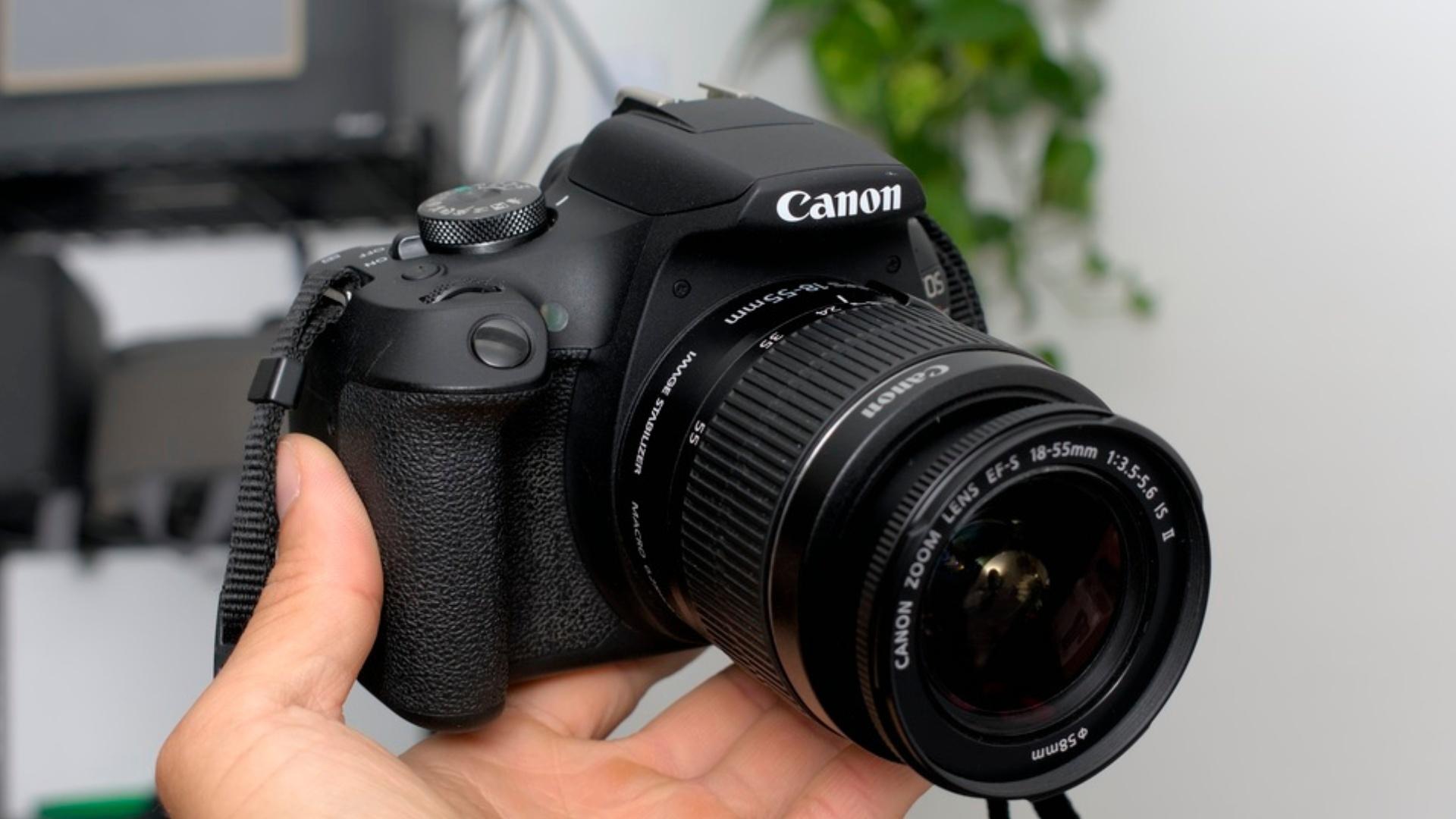 Kamera Canon DSLR: Urutan dan Pilihan untuk Pemula